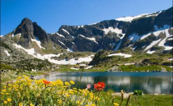 Гарна природа